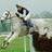 ahorsewithnoname
