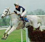 ahorsewithnoname