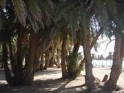 holidays