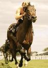 horses