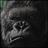 ape1