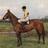 arkle100