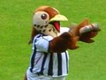 baggiebird