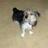 bertie