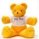 bigted.