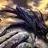 Black Dragon