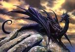 Black Dragon