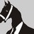 BlackHorse
