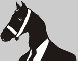 BlackHorse