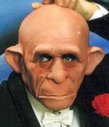 charliemonkeyface