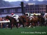 dancing  brave