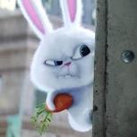 Evee