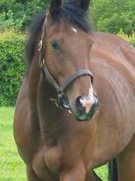 Gimcrack