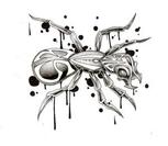 Haemolysis