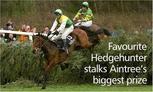 Hedgehunter