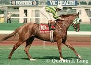 Let's Elope 1992 Australian Cup winner