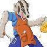 lil aussie badger