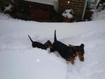 look  -  it's snowing