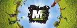 msdesign