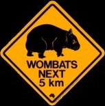 Phantom_Wombat