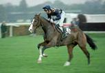 Rathgorman82