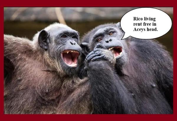 Tiger Woods new driver needed. > Betfair Community > Horse Racing