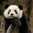 Sexual Harassment Panda