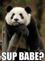 Sexual Harassment Panda