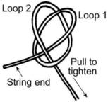 ShirleyKnot