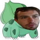Gulbis