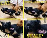 Stahp!