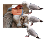 Vultures