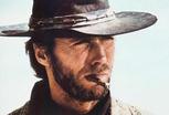 Thecowboy