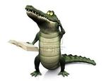 thehappysnapper