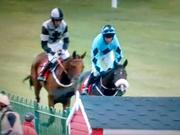 horses