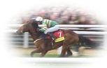 UK Horse Racing