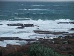 West Coast Eagles
