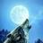 wolfatthedoor